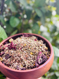 HSV1-2 natural herbs /ms,Hpv,AIDS,syphilis,hpv
