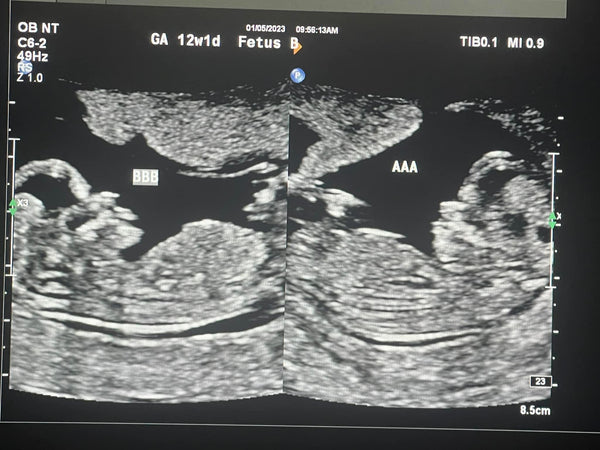 Tube reversal gel