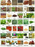 HSV1-2 natural herbs /ms,Hpv,AIDS,syphilis,hpv