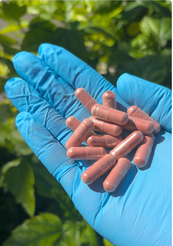 Yeast + Vaginal pH Support