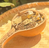 Diabetes Herbs